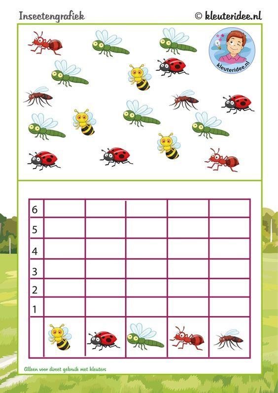 Free Printable Bug Graphing Paper Kindergarten