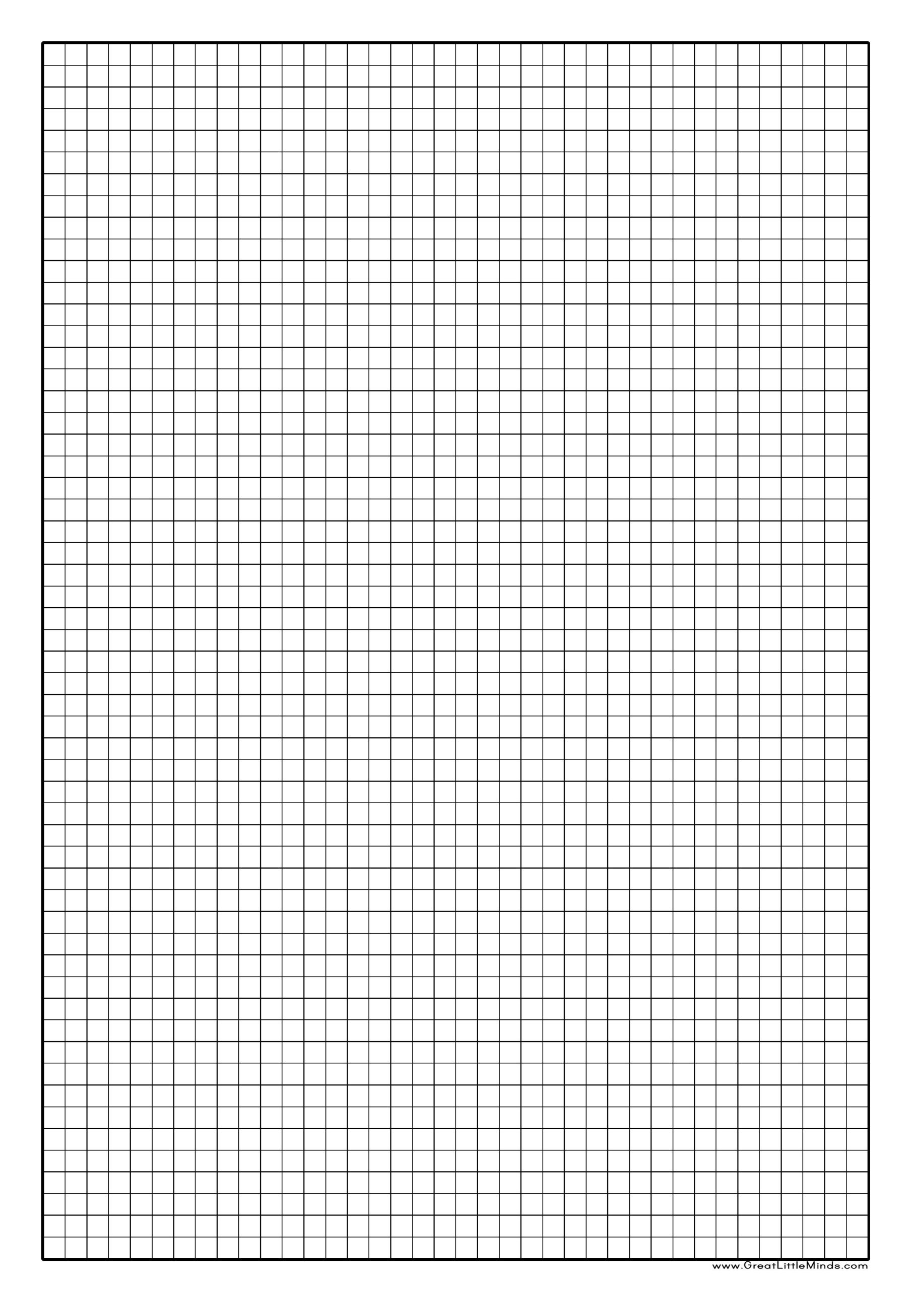 Printable Full Page Graph Paper PDF