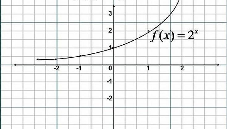 Graph Paper Printable For Exponential Functions In 2021 Printable