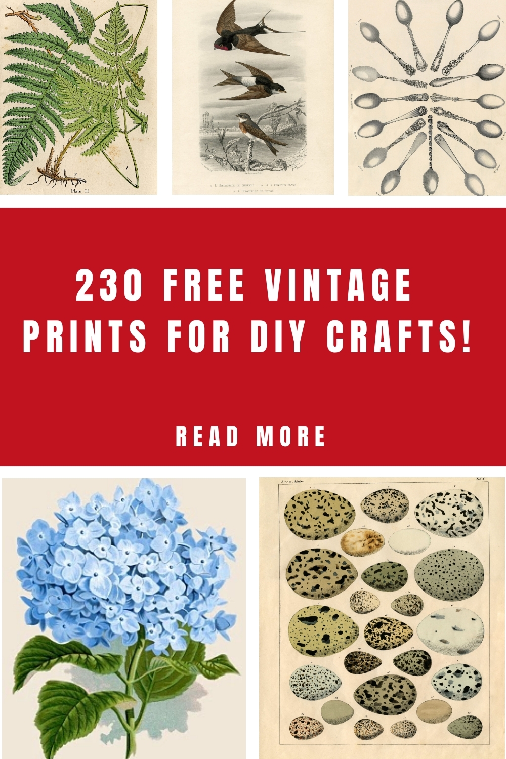 230 Free Vintage Prints Printable Wall Art The Graphics Fairy