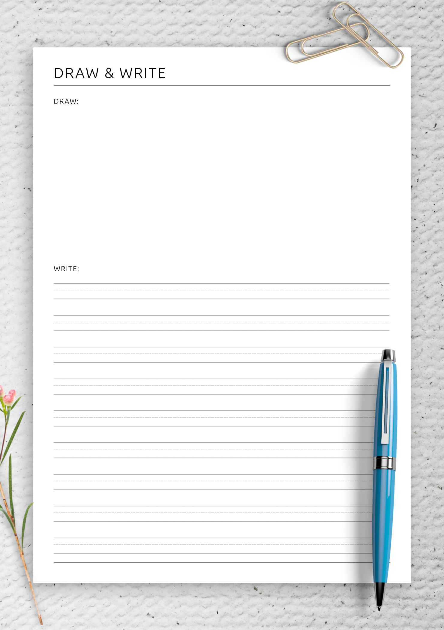 Download Draw Write Worksheet Printable PDF