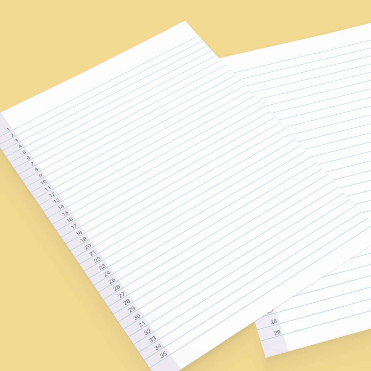 Free Numbered Lined Paper PDF 1 20 1 25 1 50 1 100 