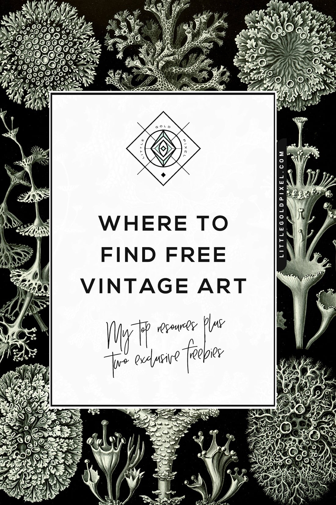 Free Printable Vintage Graphics