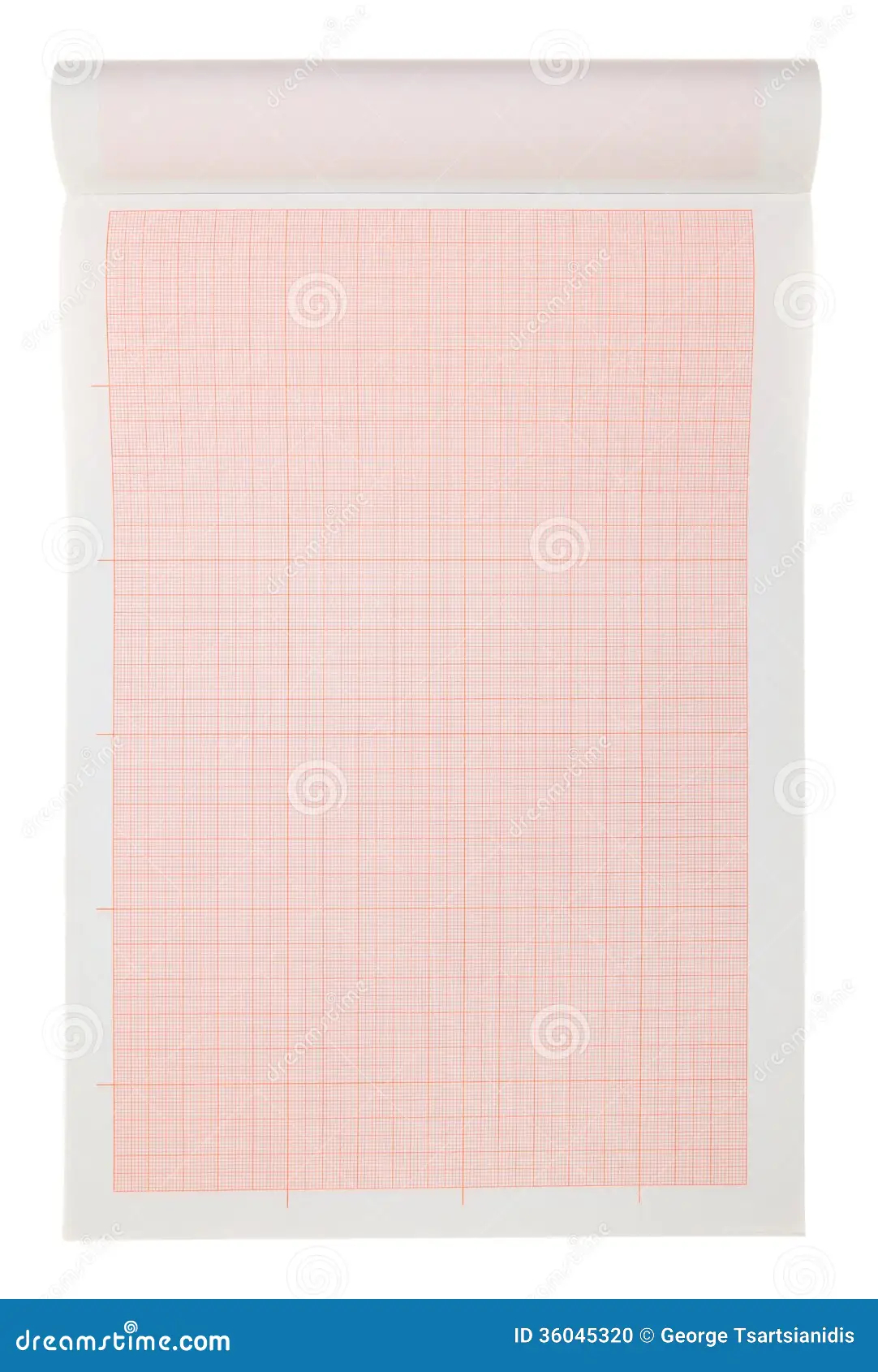 8X8 Graph Paper Printable