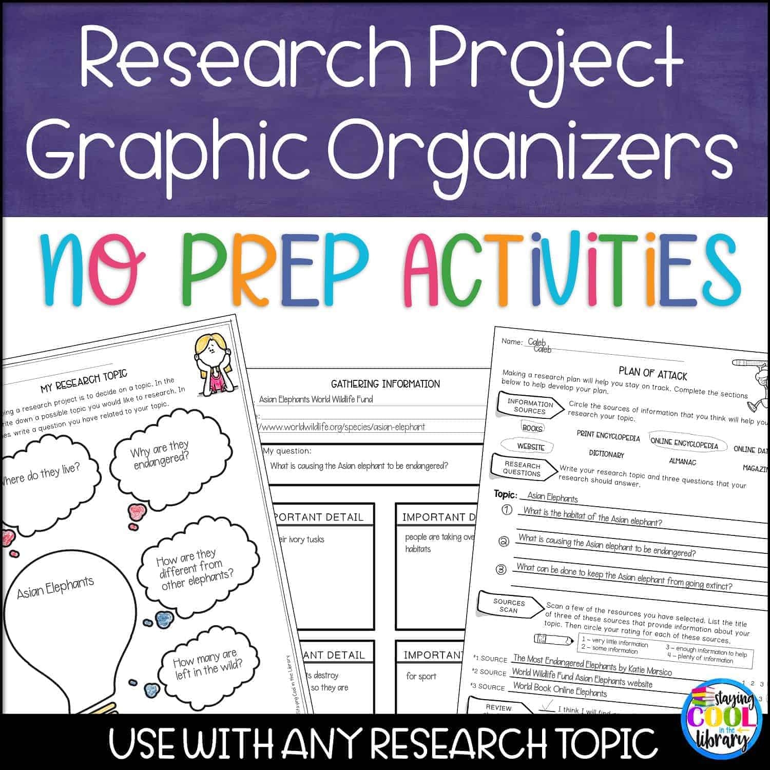 Research Graphic Organizer Printable